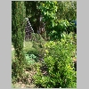 meditarrangarten.jpg