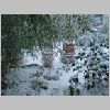 winterschutz_basjoo.jpg