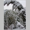 winter2009_10.jpg