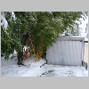 winter2009_16.jpg