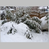 winter2009_19.jpg