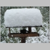 winter2009_1.jpg
