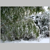 winter2009_20.jpg