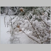 winter2009_2.jpg