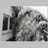 winter2009_3.jpg