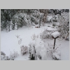 winter2009_4.jpg