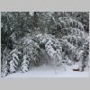 winter2009_5.jpg