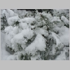 winter2009_6.jpg
