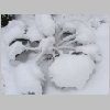 winter2009_7.jpg